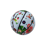 Koi Mini Basketball - Freshwater Blue