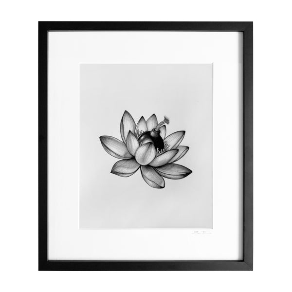 Lotus Flower Bomb - Drawing